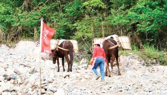 湖北骡子运输队