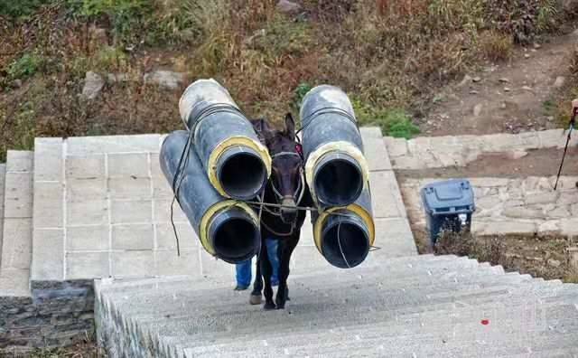 湖北马帮运输